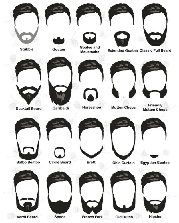 beard style chart